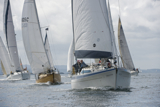 whigmaleerie 1102c whyw14 sun 7419